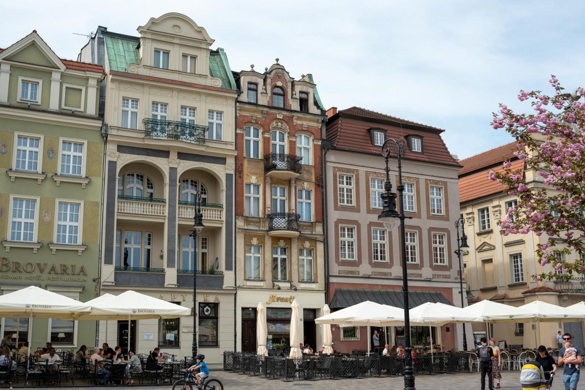 Apartamenty Drevny Kocur Poznan Exterior photo